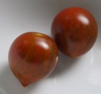 Bild "bilder-tomaten:Venusbruestchen_gestreift_2.jpg"